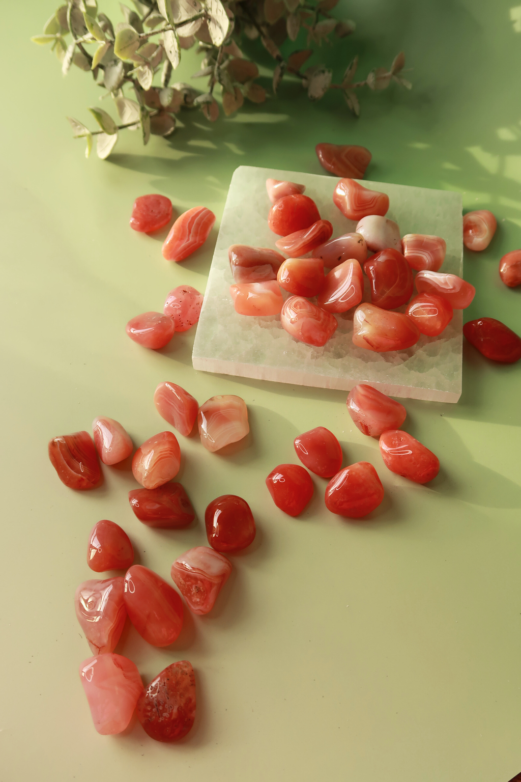Apricot Agate Tumbles