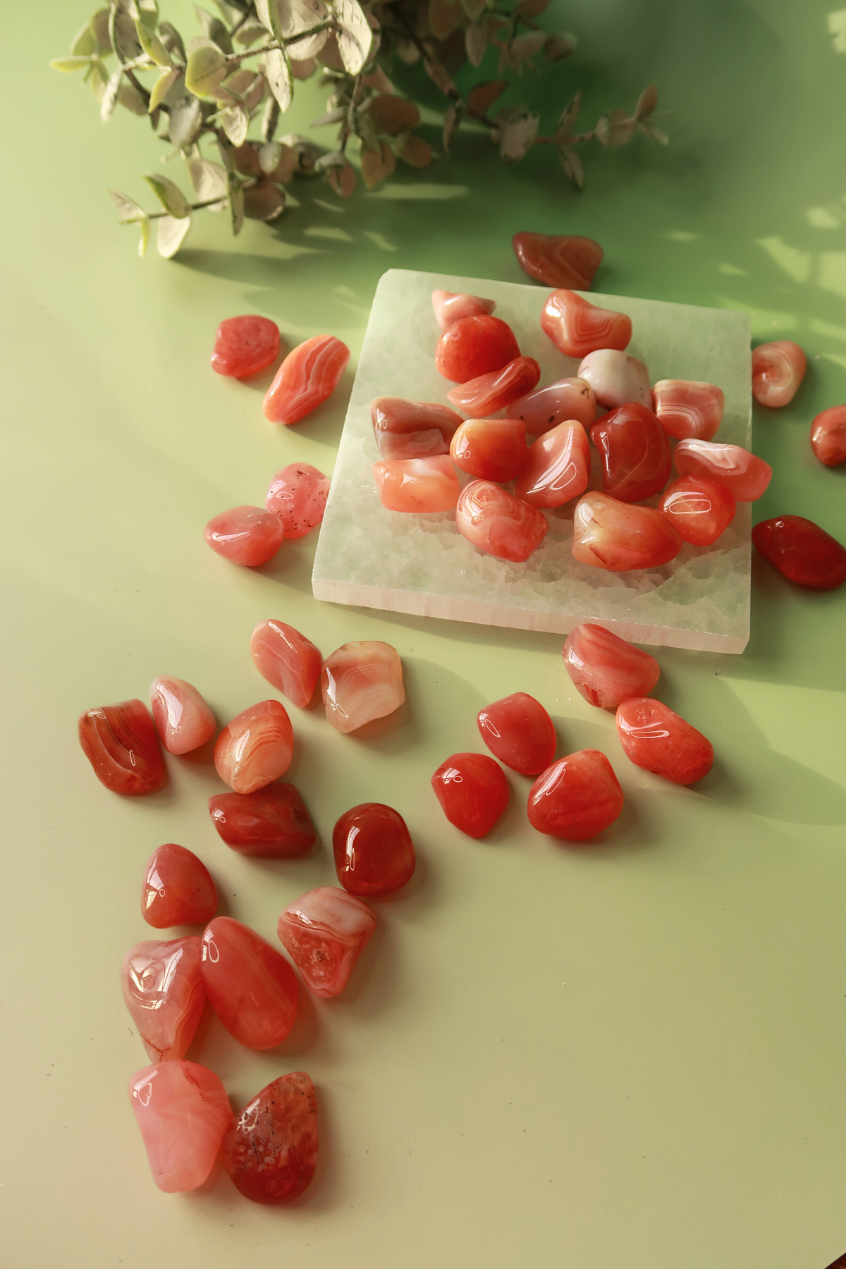 Apricot Agate Tumbles