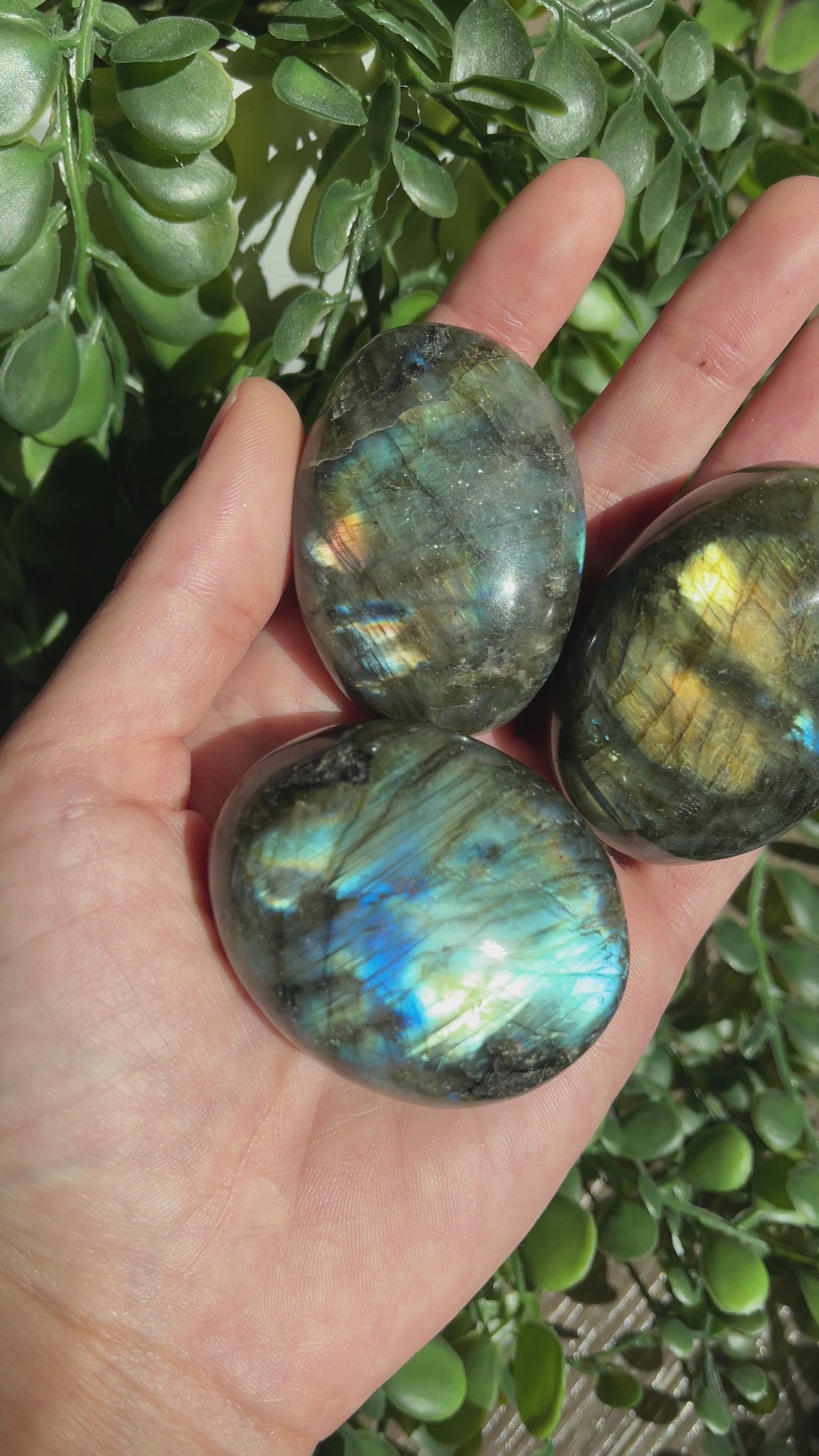 Labradorite Palm Stones