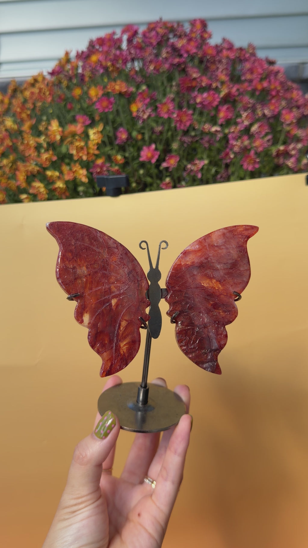 Hematoid Quartz Butterfly