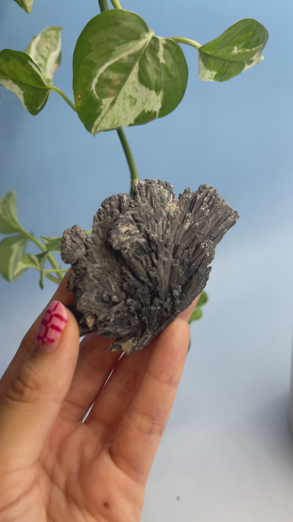 Black Kyanite