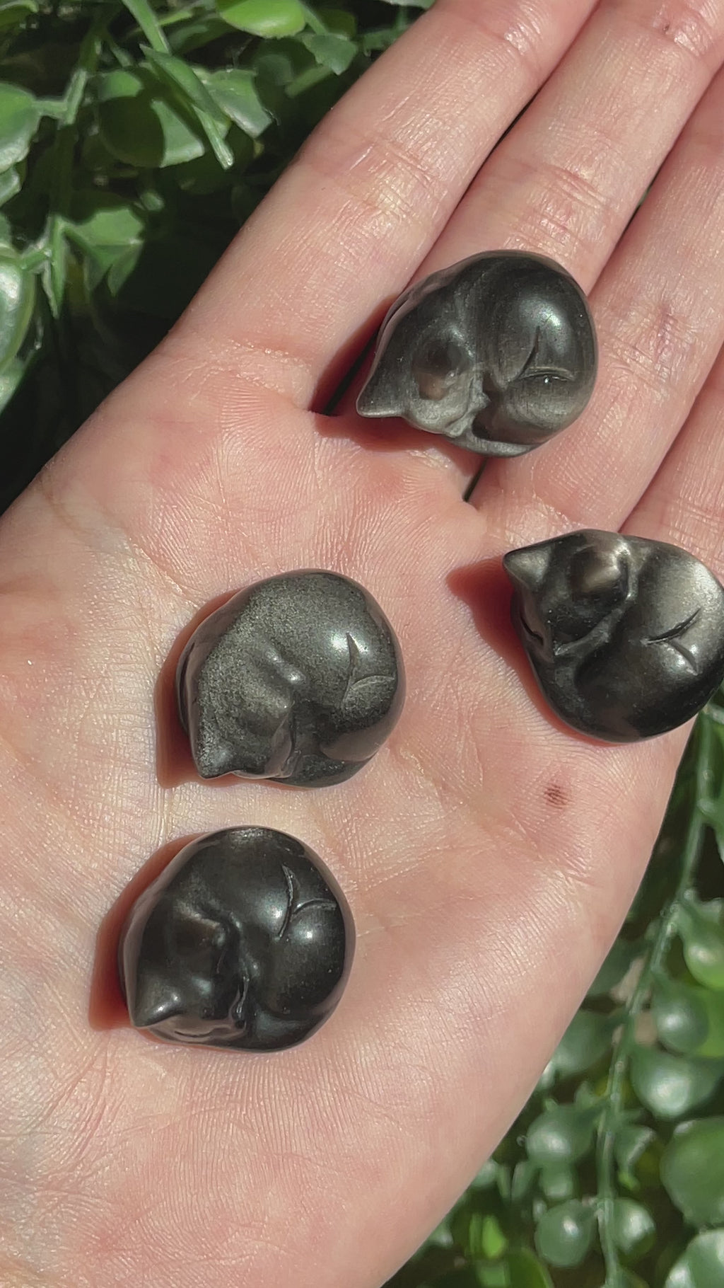 Silver Sheen Obsidian Cats