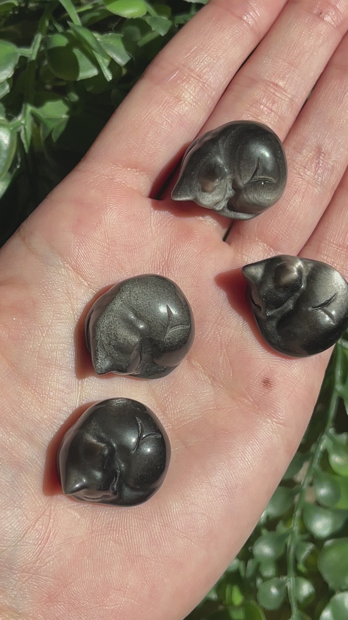 Silver Sheen Obsidian Cats