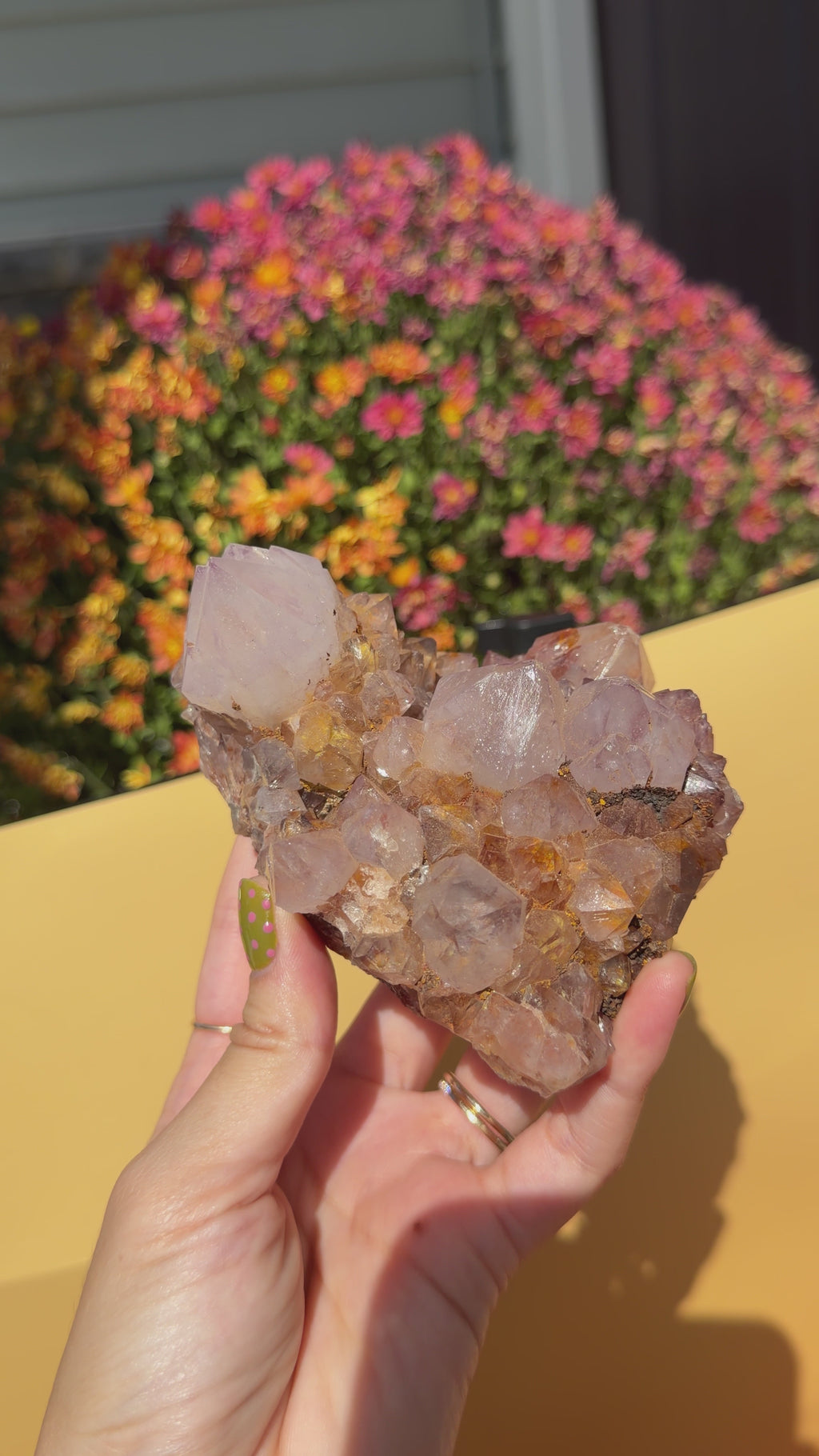 Cactus Quartz a.k.a Spirit Quartz Specimen