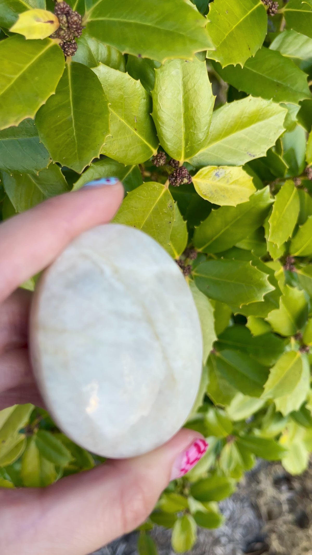 Moonstone Palmstones