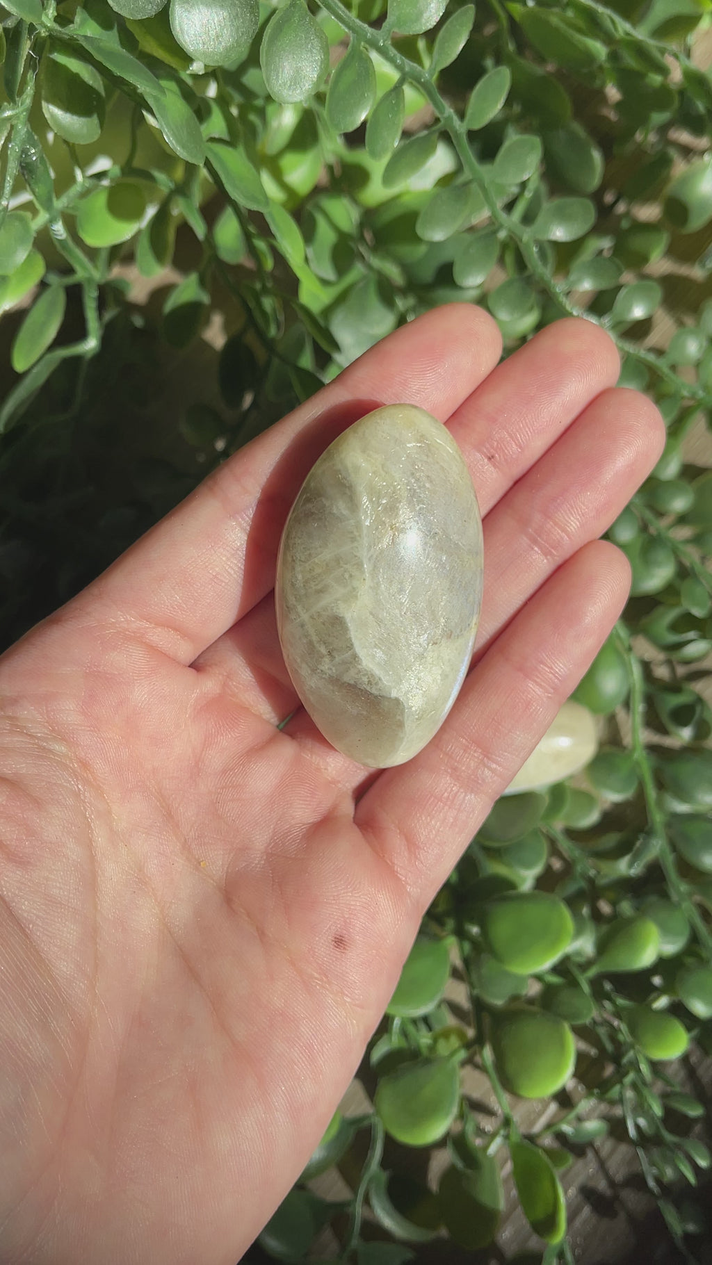 Moonstone Tumbles